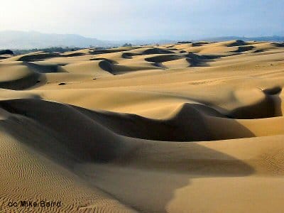 The dunes of Oceano Beach