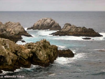 Point Lobos rocks