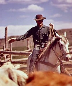 Cowboy moving cattle on horseback