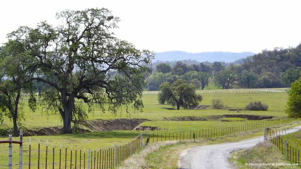 Verdant pastures on Indian Valley Road