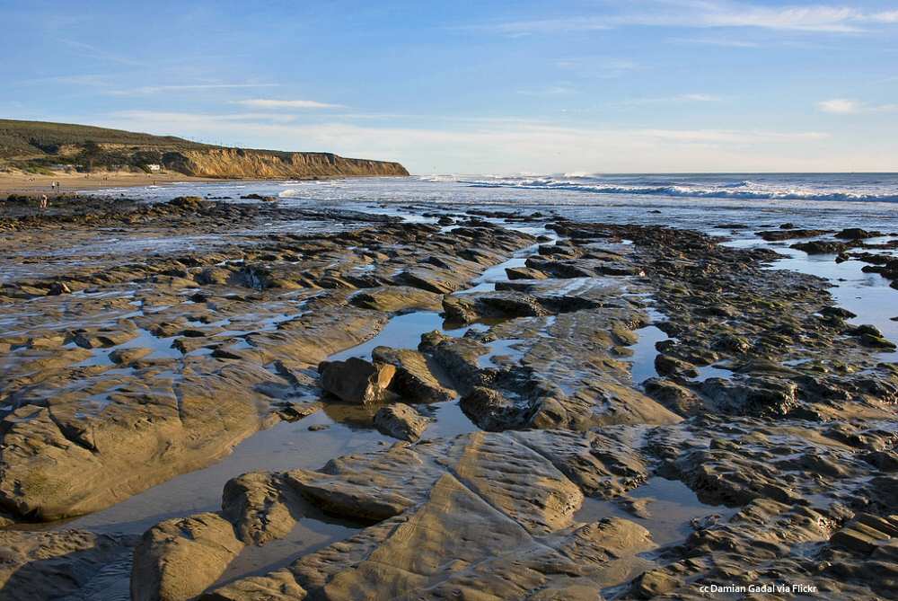 Rocks exposed at low tide