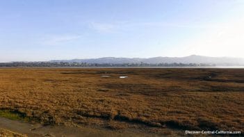 A view of Los Osos across the Morro Bay estuary A view of Los Osos across the Morro Bay estuary