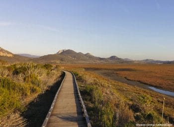 A view to the east over the Morro Bay estuary from the marina boardwalk A view to the east over the Morro Bay estuary from the marina boardwalk