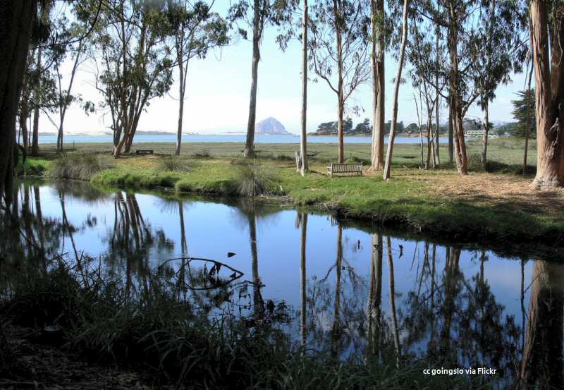 View of the Rock from the Sweet Springs Nature Preserve in Los Osos View of the Rock from the Sweet Springs Nature Preserve in Los Osos