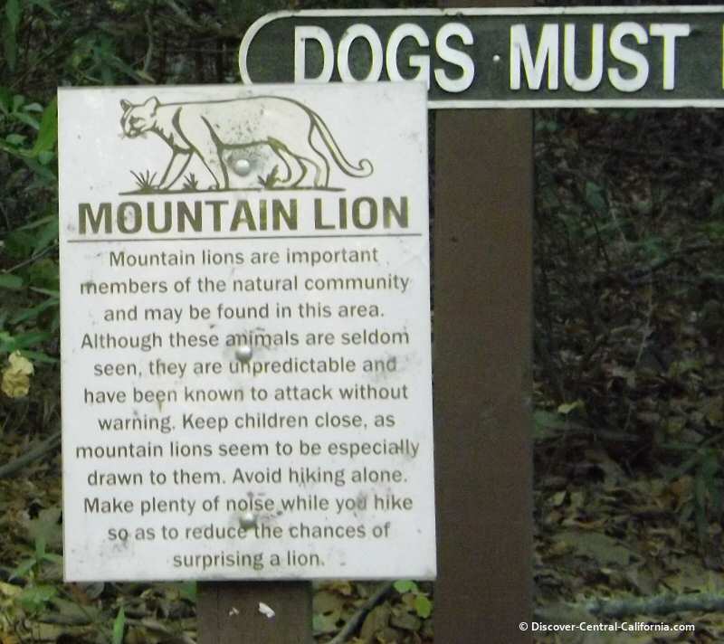 Mountain lion warning at Nojoqui Falls Park