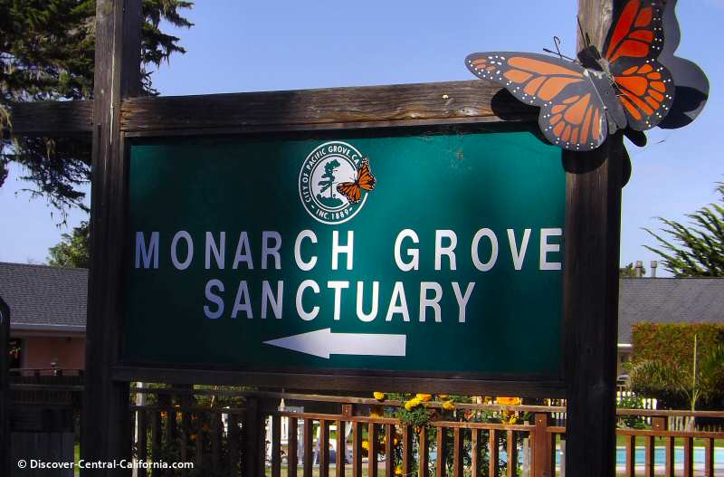 The main monarch grove sanctuary sign on Ridge Road