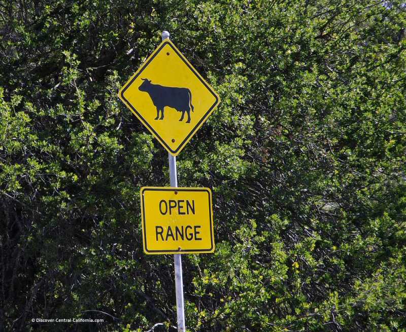 Open Range sign