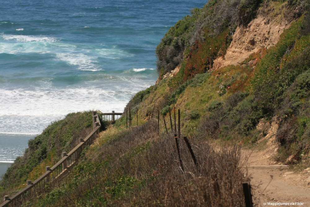 Sand Dollar Beach - path and stairway down to the sand