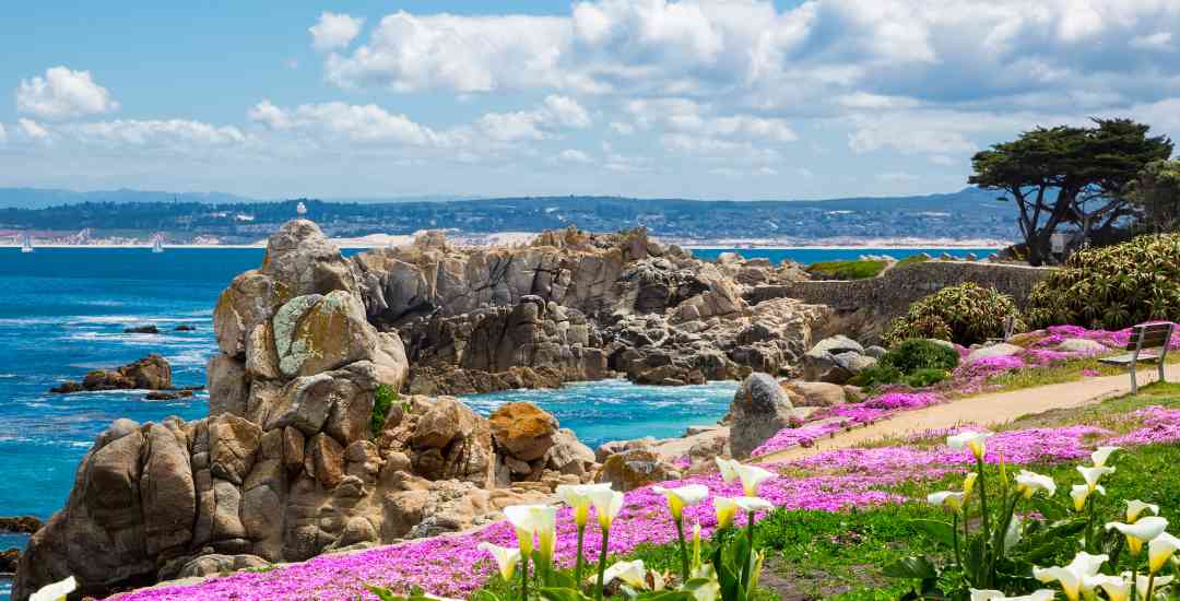Pacific Grove