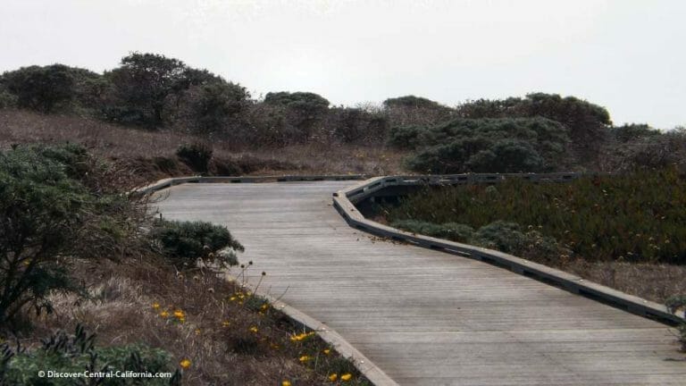 Fiscalini Ranch Preserve Boardwalk