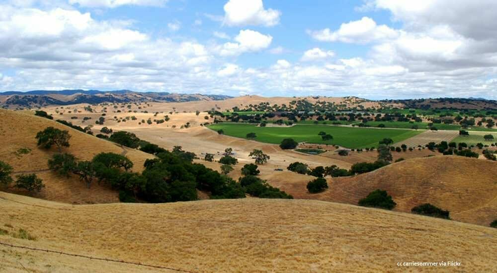 A view of a hilly landscape with trees and grass.
