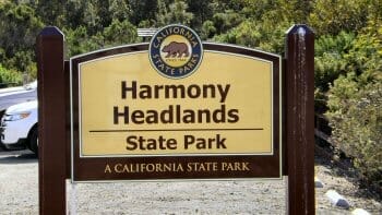 Harmony Headlands State Park – A Central California hidden treasure