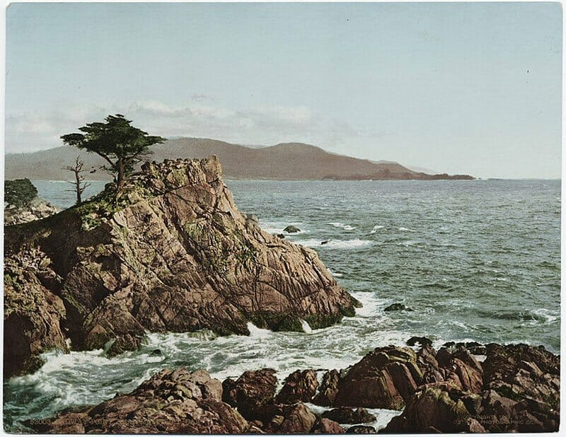 A lone tree on a rocky cliff overlooking the ocean.