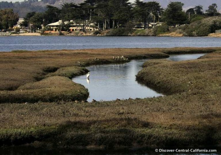 The Sweet Springs Nature Preserve in Los Osos, on Morro Bay