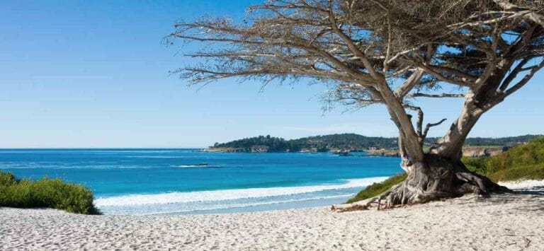 Carmel-by-the-Sea, beach scene