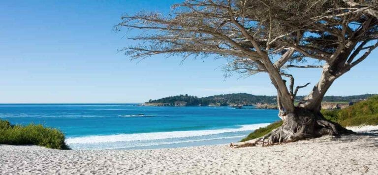 Carmel California – A village in a forest overlooking a white sand beach