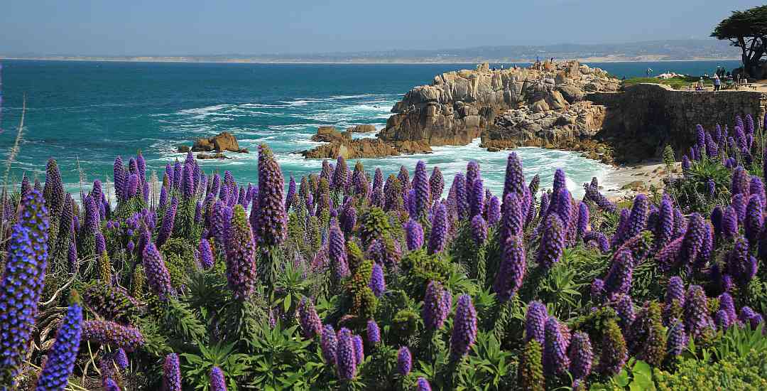 Lovers Point in Pacific Grove
