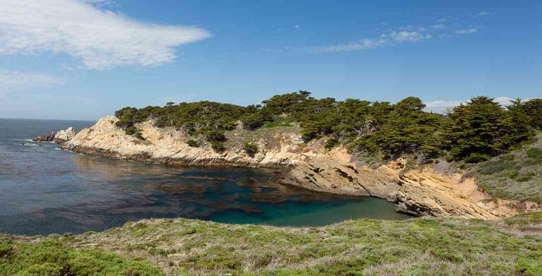 Point Lobos, Carmel – photos and information