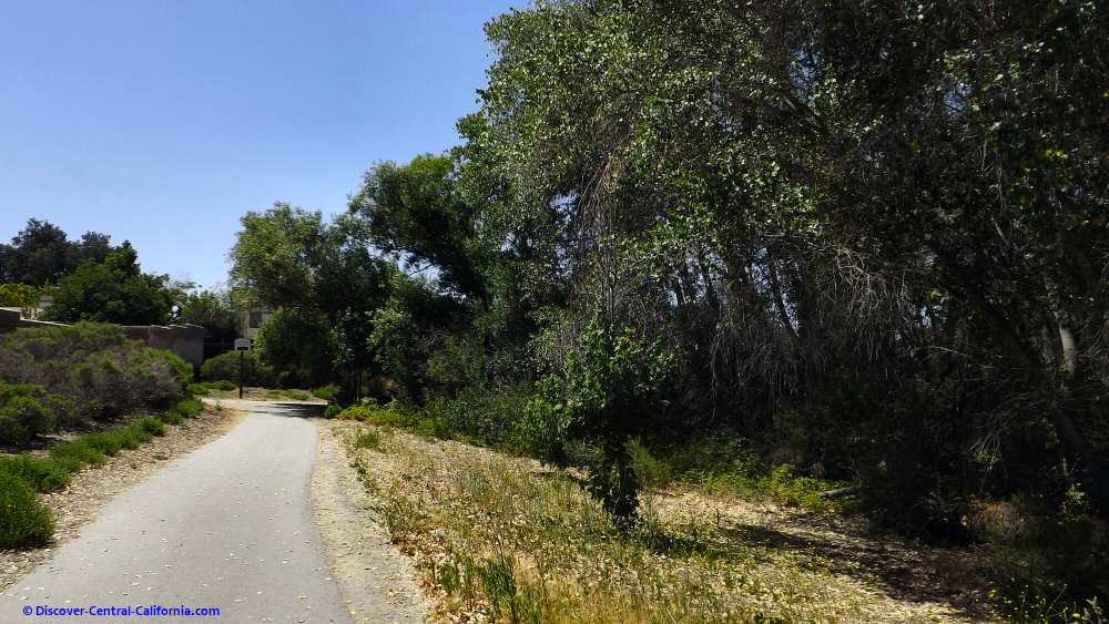 Salinas River Trail In Paso Robles