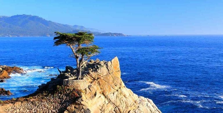 17 Mile Drive – A beautiful scenic drive highlighted by the lone cypress
