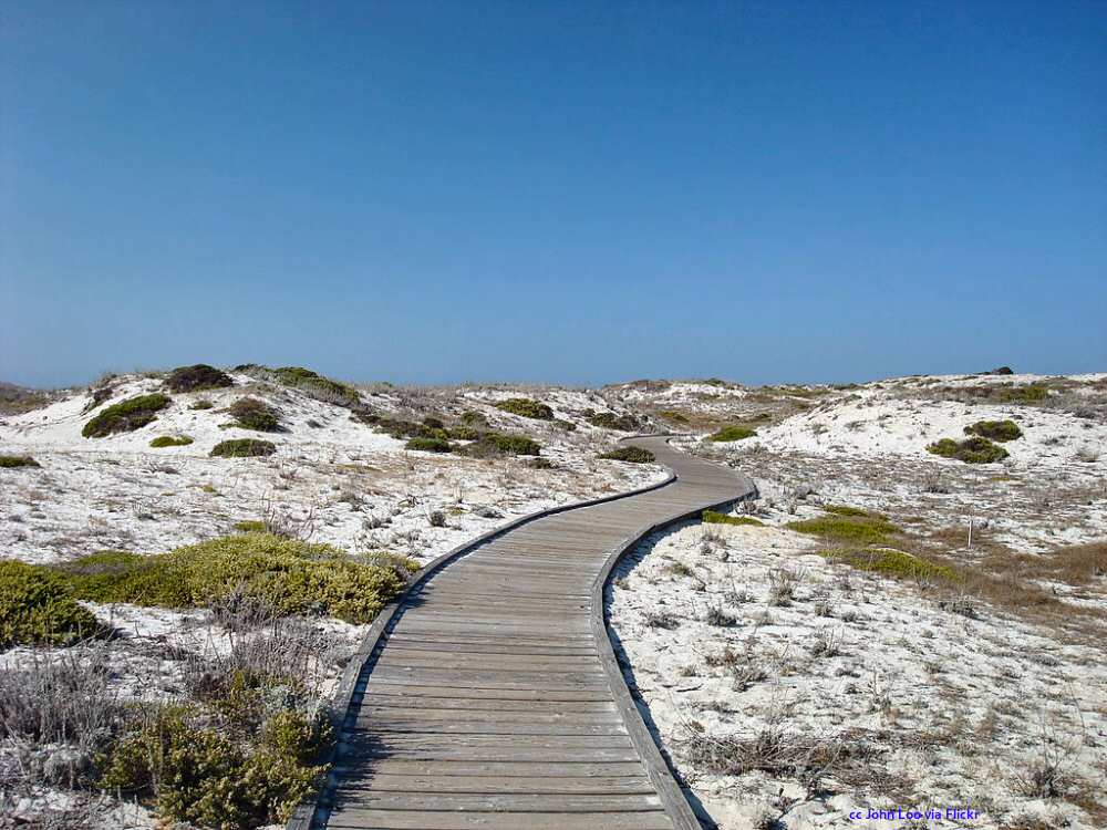 Asilomar Beach Dunes Boardwalk