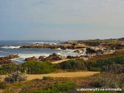 Pathways on Asilomar State Beach on the Monterey Peninsula Pathways on Asilomar State Beach on the Monterey Peninsula