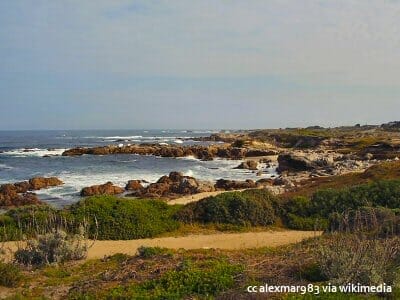 Pathways on Asilomar State Beach on the Monterey Peninsula