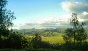 A gorgeous scenic view on a Central California backroad