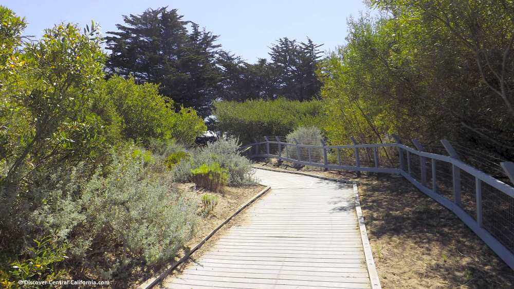 The boardwalk from Cloisters Park leading to the beach