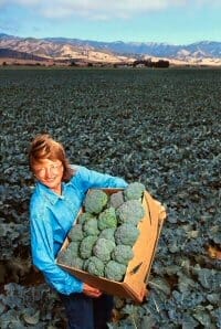 Salinas Valley broccoli