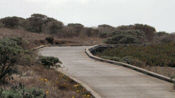 Boardwalk along the Bluff Trail at Fiscalini Ranch in Cambria Boardwalk along the Bluff Trail at Fiscalini Ranch in Cambria