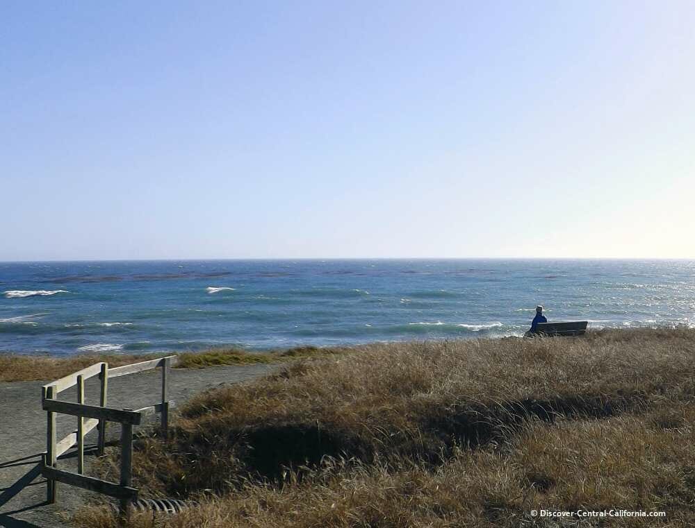 Lampton Cliffs solitary bench