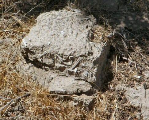 An adobe wall on the Dana Rancho in Nipomo returning to the earth whence it came