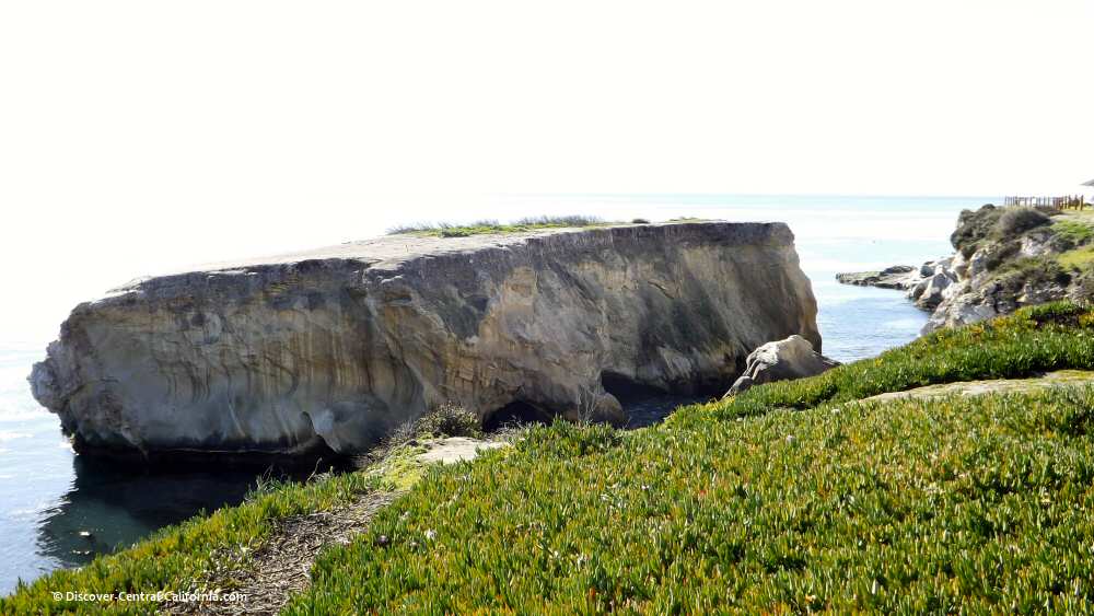Large sea stack off Dinosaur Caves Park