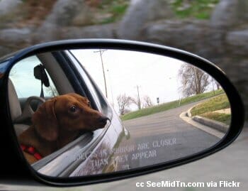 Sad to be leaving the dog friendly winer