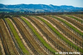 The vineyards of Eberle Winery east of Paso Robles