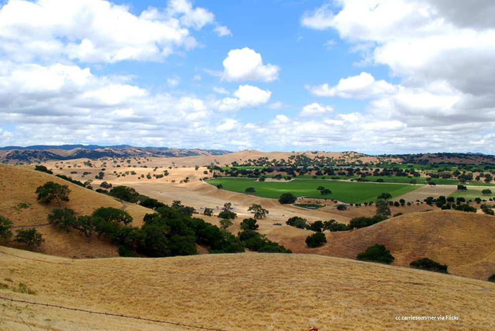 Vista of Foxen Canyon
