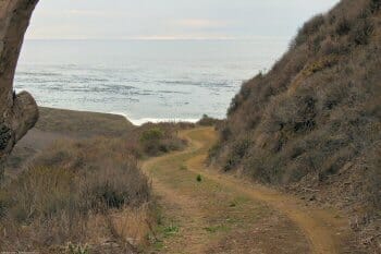 Approaching the ocean from the Harmony Headlands trail