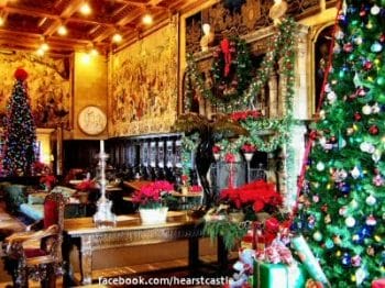 Two Christmas trees!