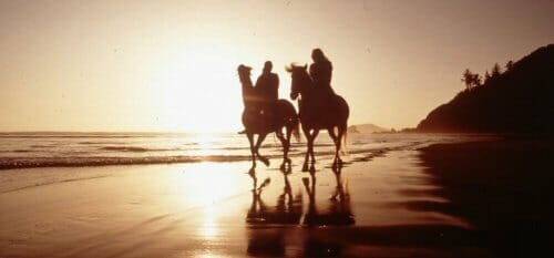 Horseriding on the beach