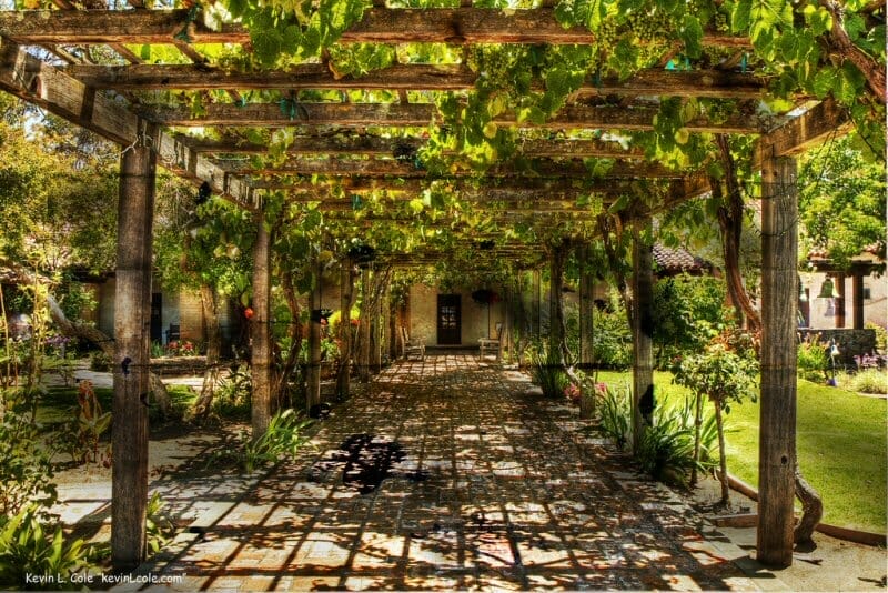 Grape arbor in the courtyard at Mission San Luis Obispo Grape arbor in the courtyard at Mission San Luis Obispo