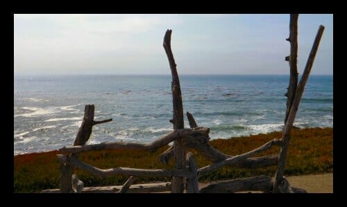 A funky bench overlooking the ocean at the Fiscalini Ranch Preserve in Cambria A funky bench overlooking the ocean at the Fiscalini Ranch Preserve in Cambria