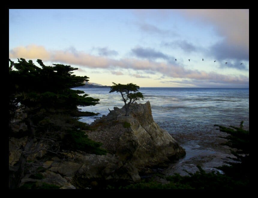 Pastel colors and the Lone Cypress at Pebble Beach
