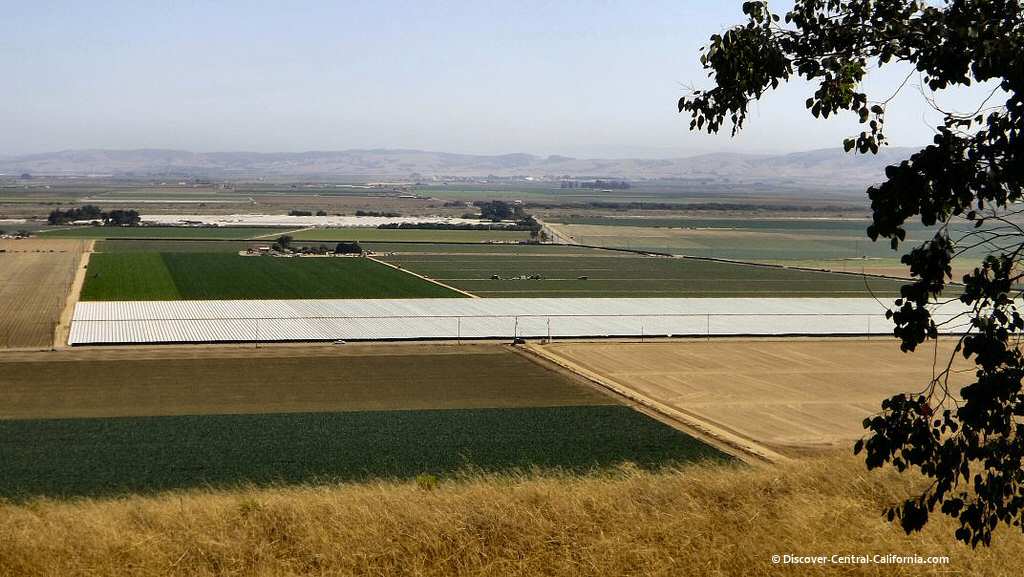 An elevated view of the Santa Maria River valley and crops