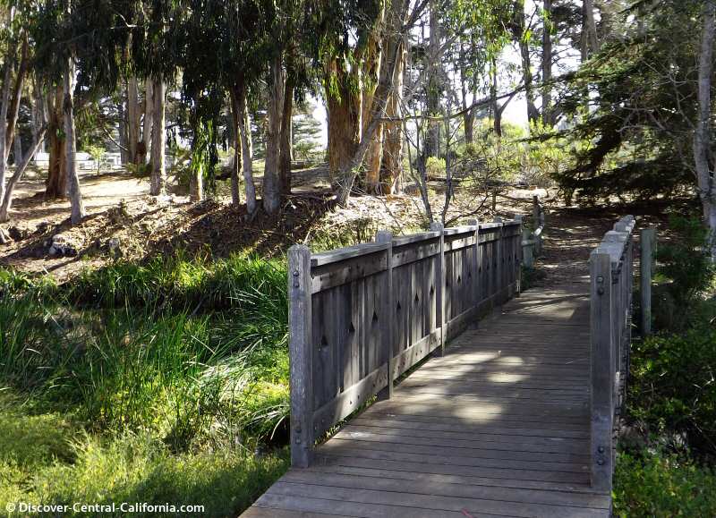 Sweet Springs walking bridge